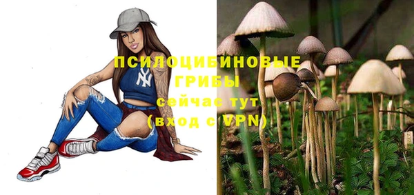 прущая мука Арсеньев