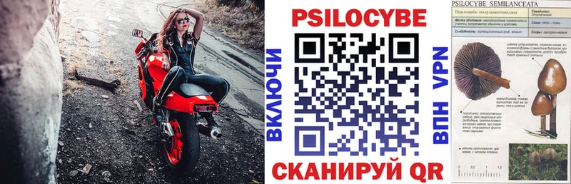 Галлюциногенные грибы ЛСД  даркнет состав  omg ссылки  Новоалтайск  купить наркотик 